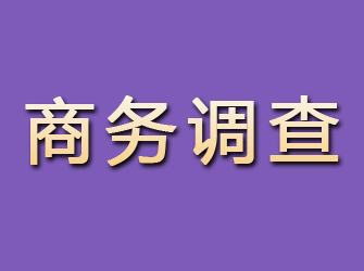 大新商务调查